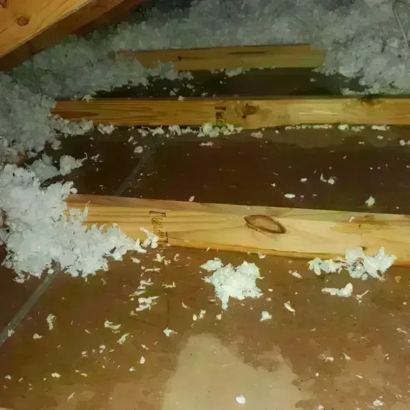 Attic Water Damage in Roslyn, NY